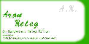 aron meleg business card